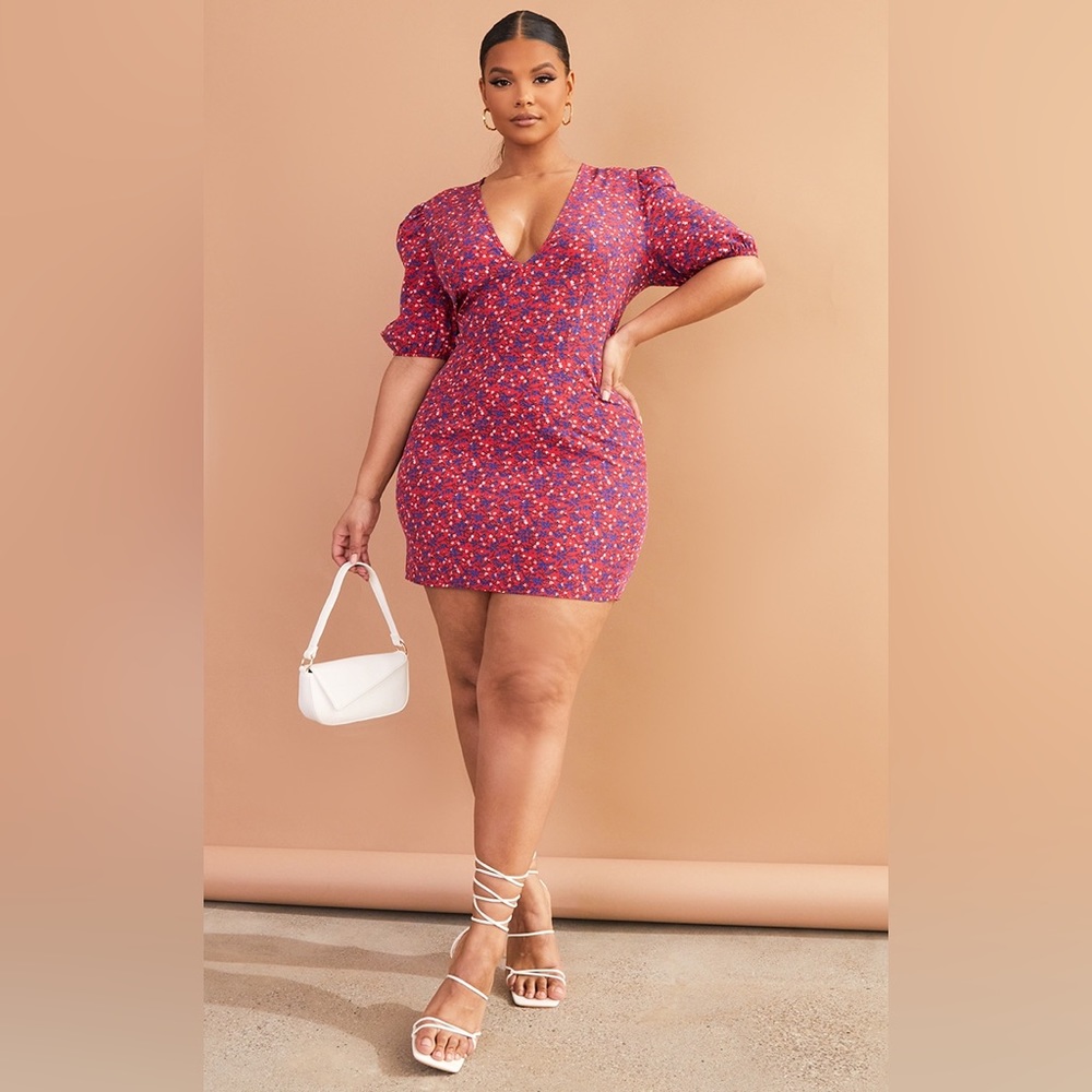 NWT! Plus Red Floral Puff Sleeve Tea Dress